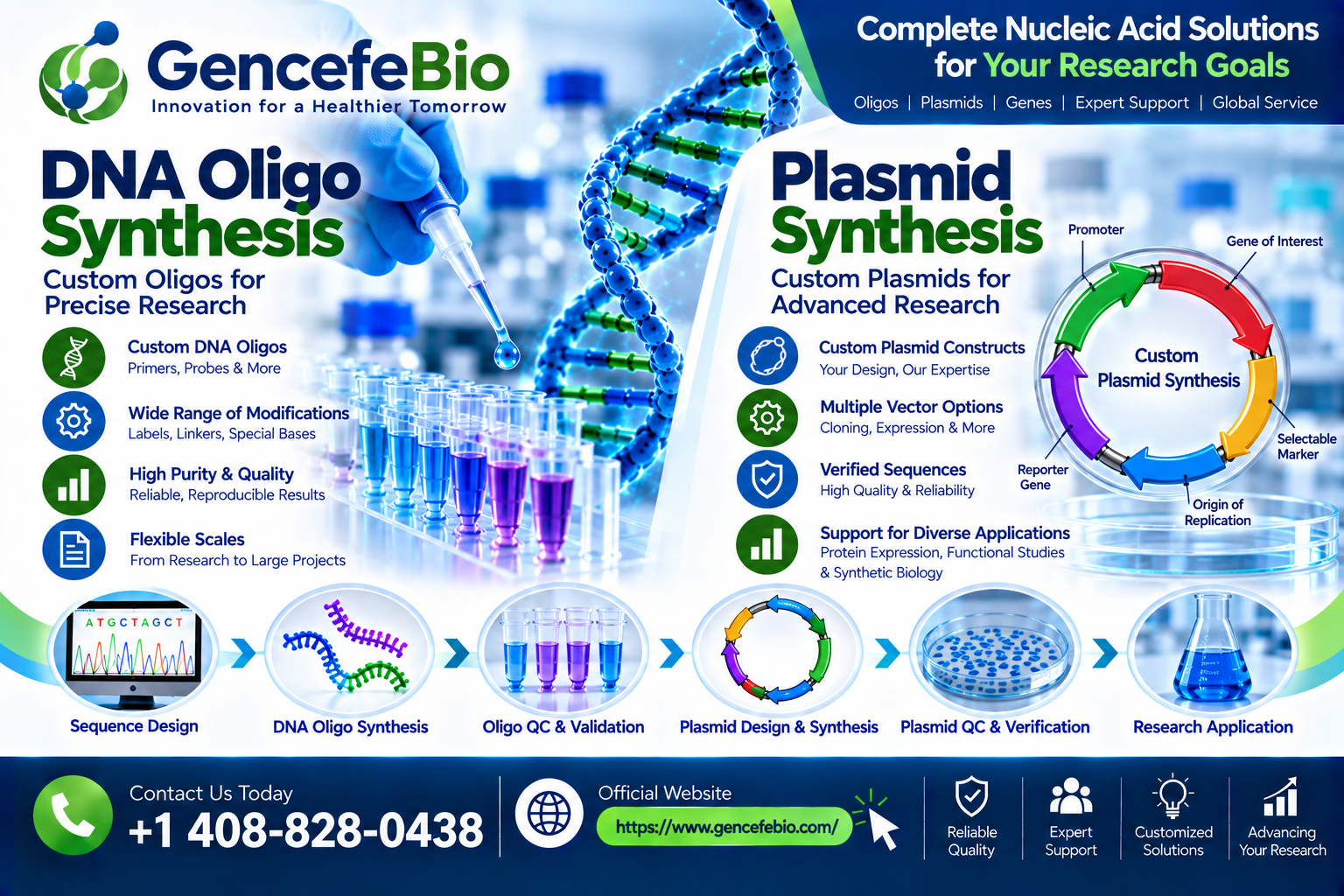 DNA Oligo Synthesis and Plasmid Synthesis: Supporting Precision Molecular Biology and Biotechnology Research